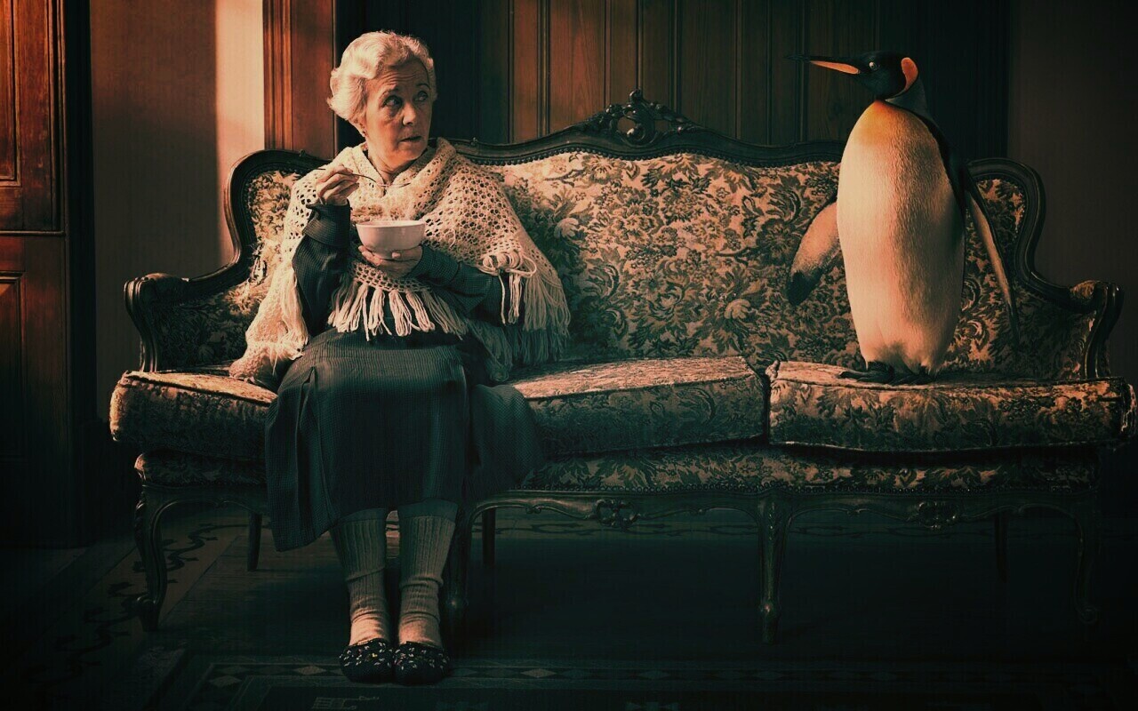 Соседи по дивану обои