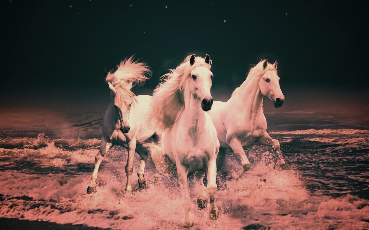 Тройка конец в море обои