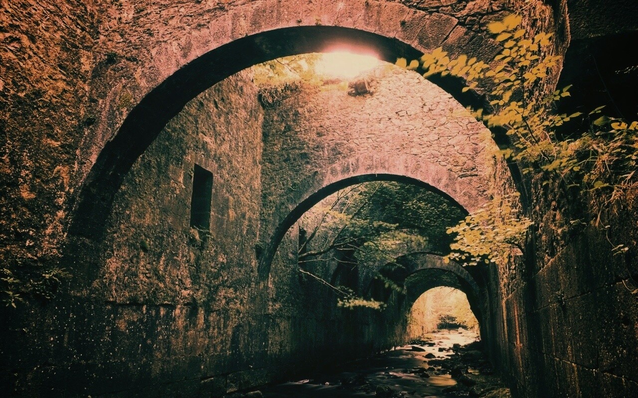 Заросшие стены обои