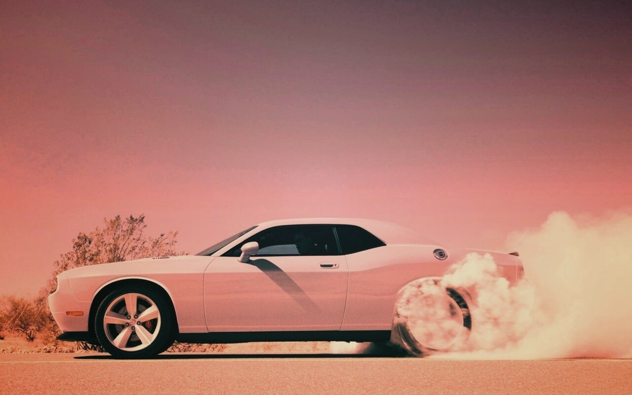 Стартующий Форд Мустанг обои