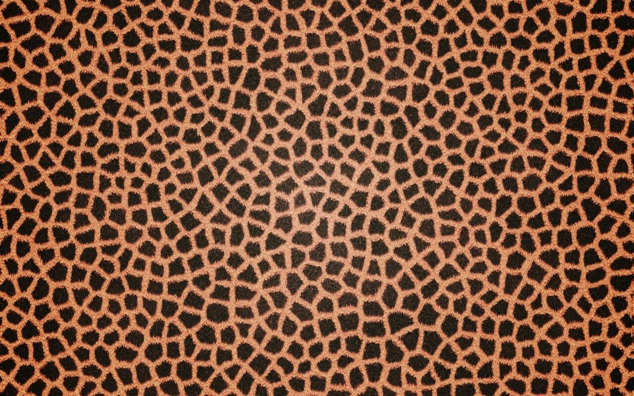Текстура шкуры жирафа обои