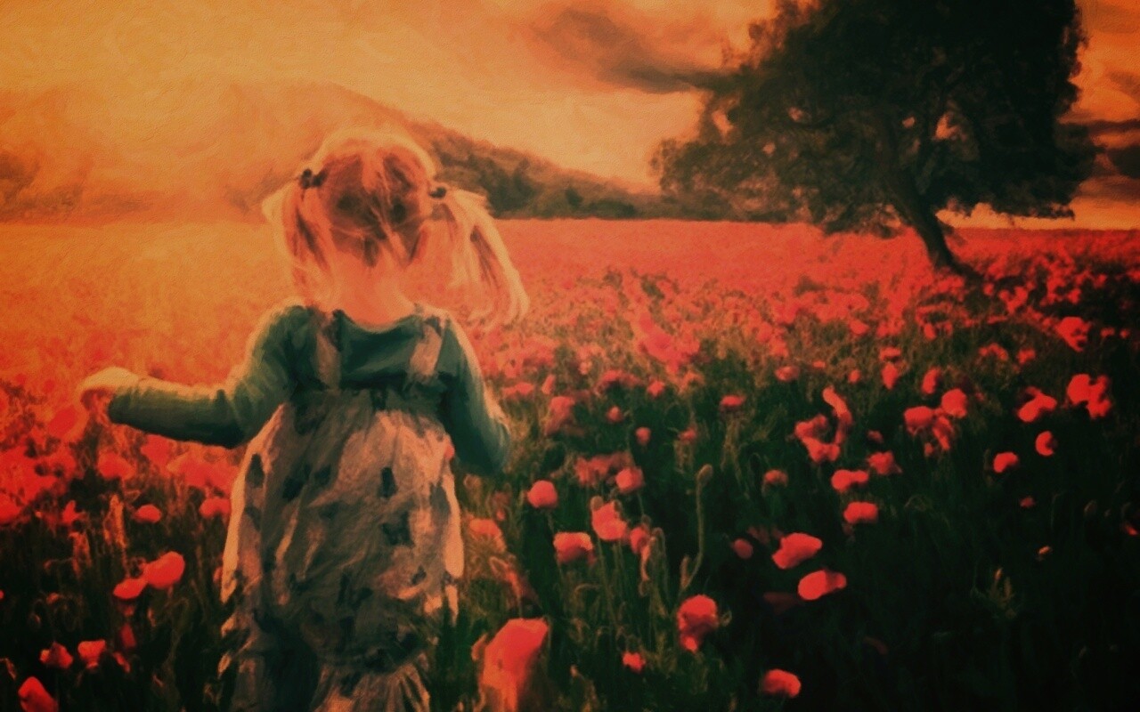 Девочка на маковом поле обои