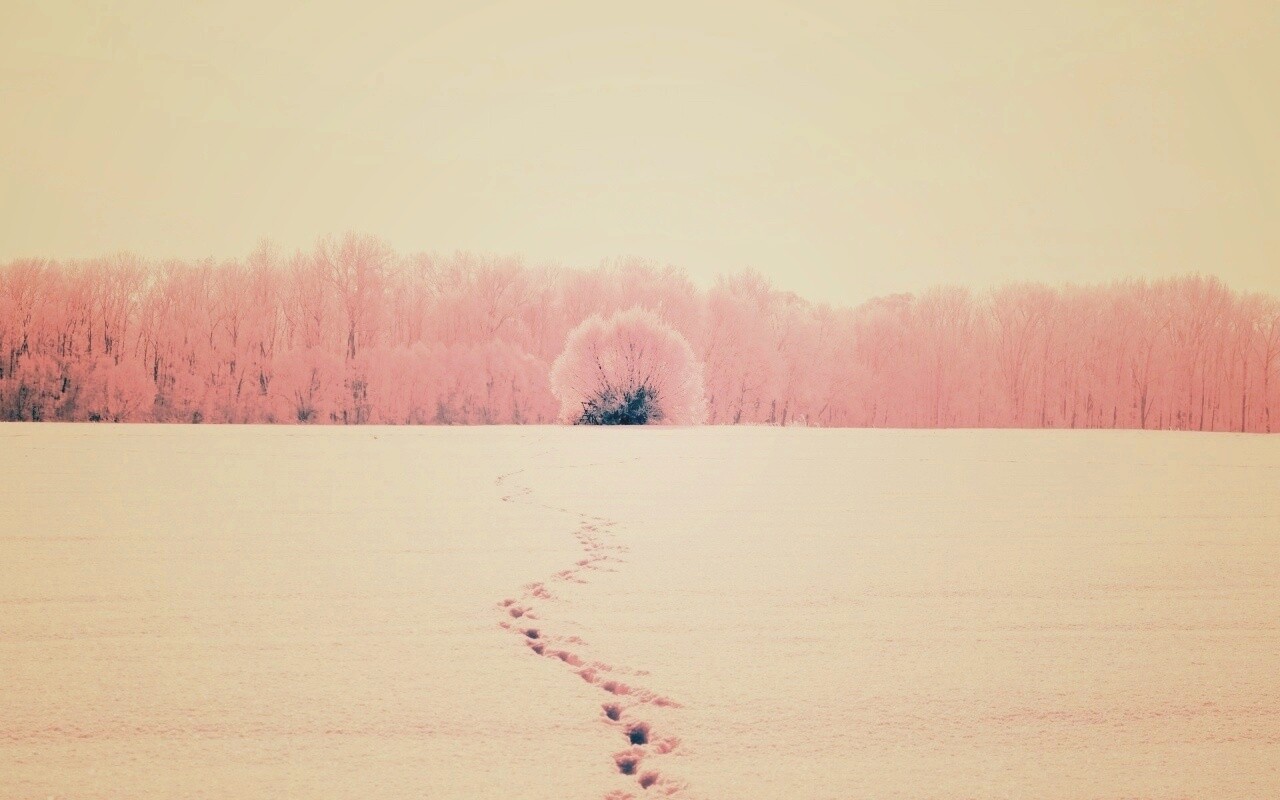Следы на снегу обои