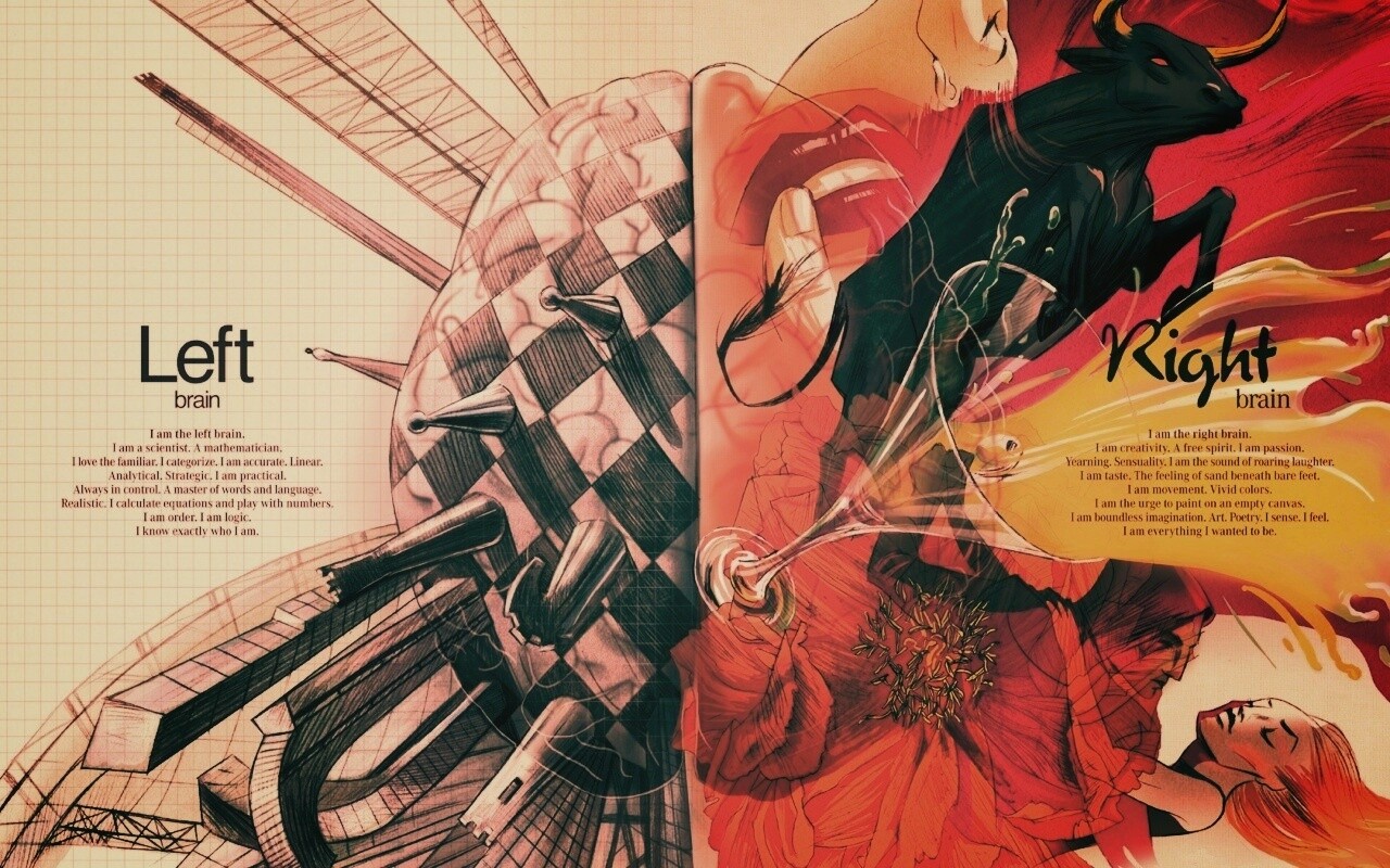 Левая и правая часть мозга обои
