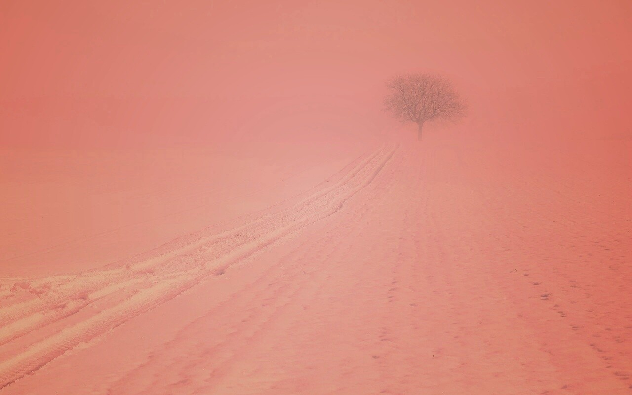 Заснеженное поле обои