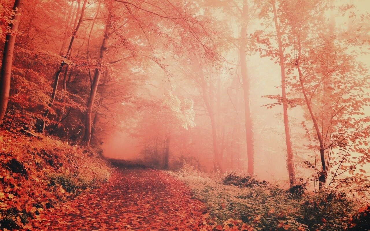 Осенний мистический пейзаж обои