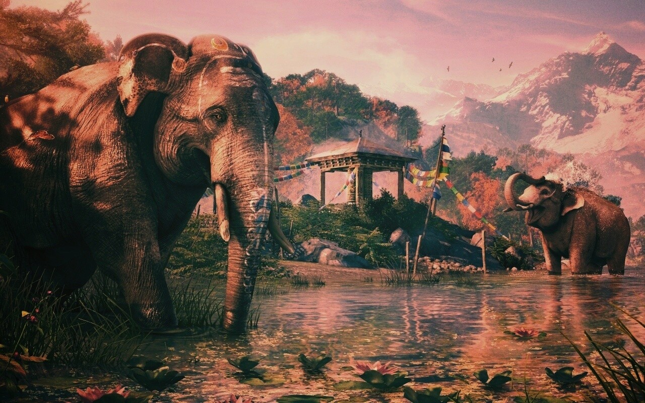 Слоники у воды обои