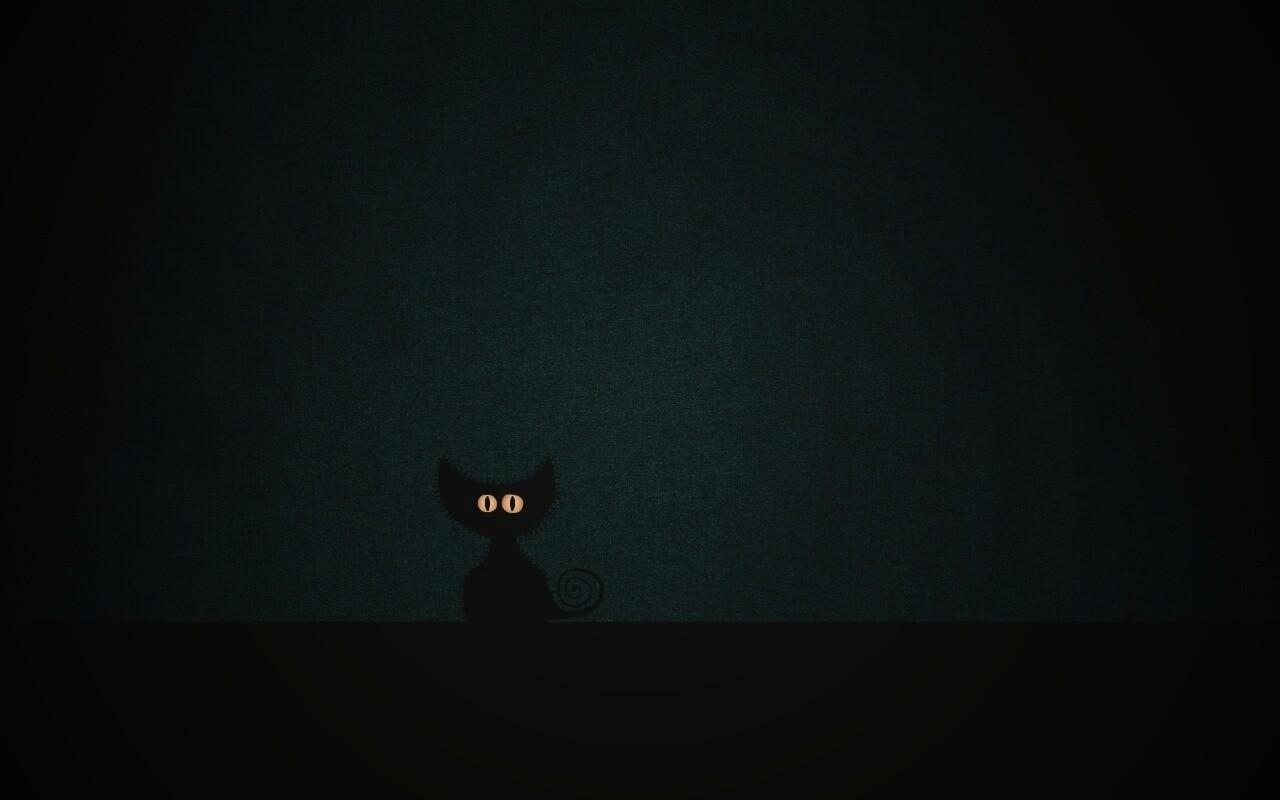 Чёрный кот в ночи обои