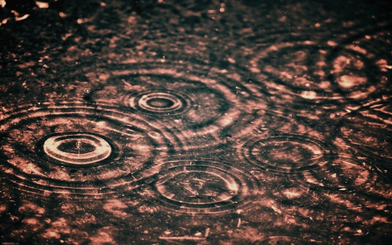 Круги на воде обои