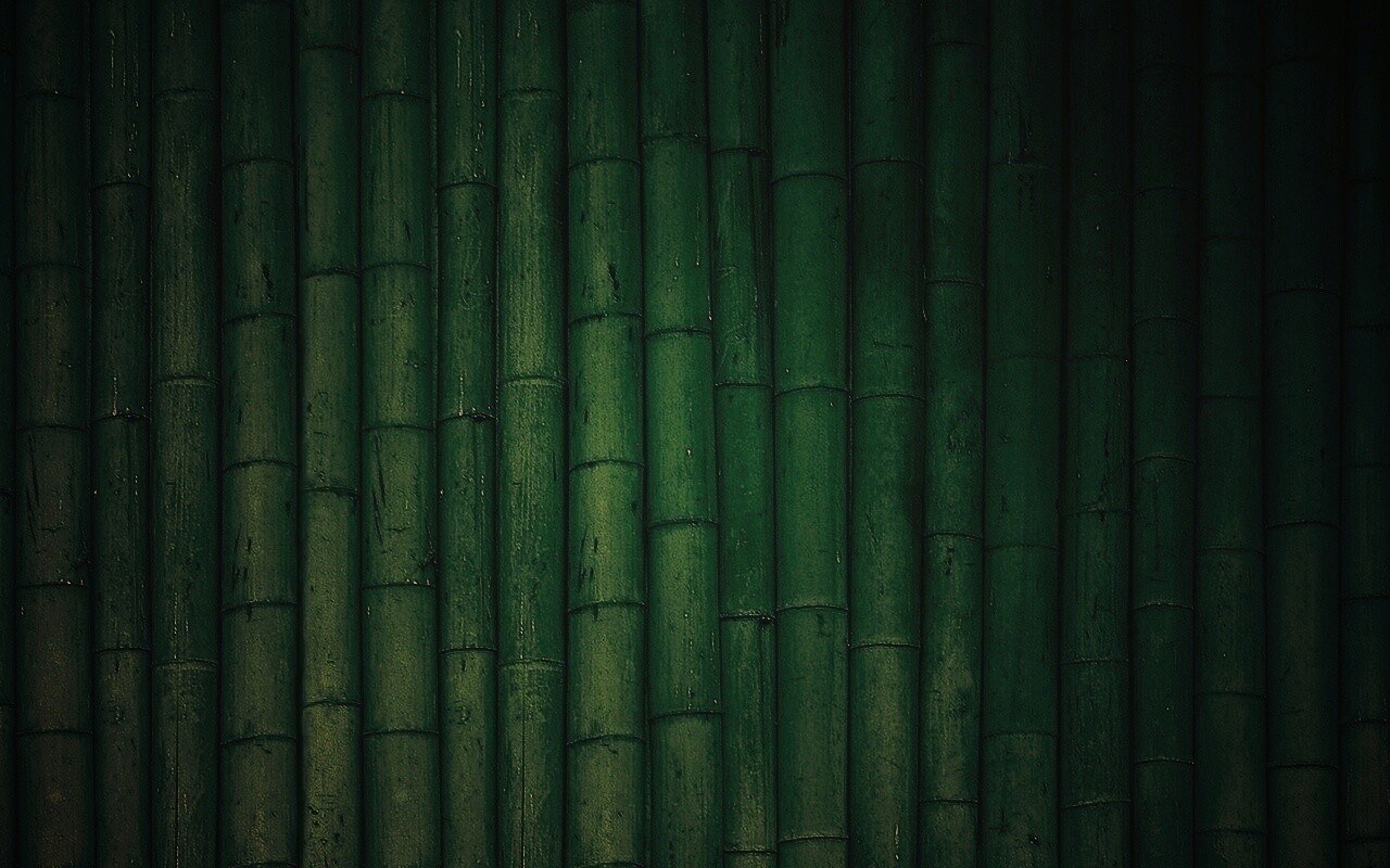 Зеленый бамбук обои