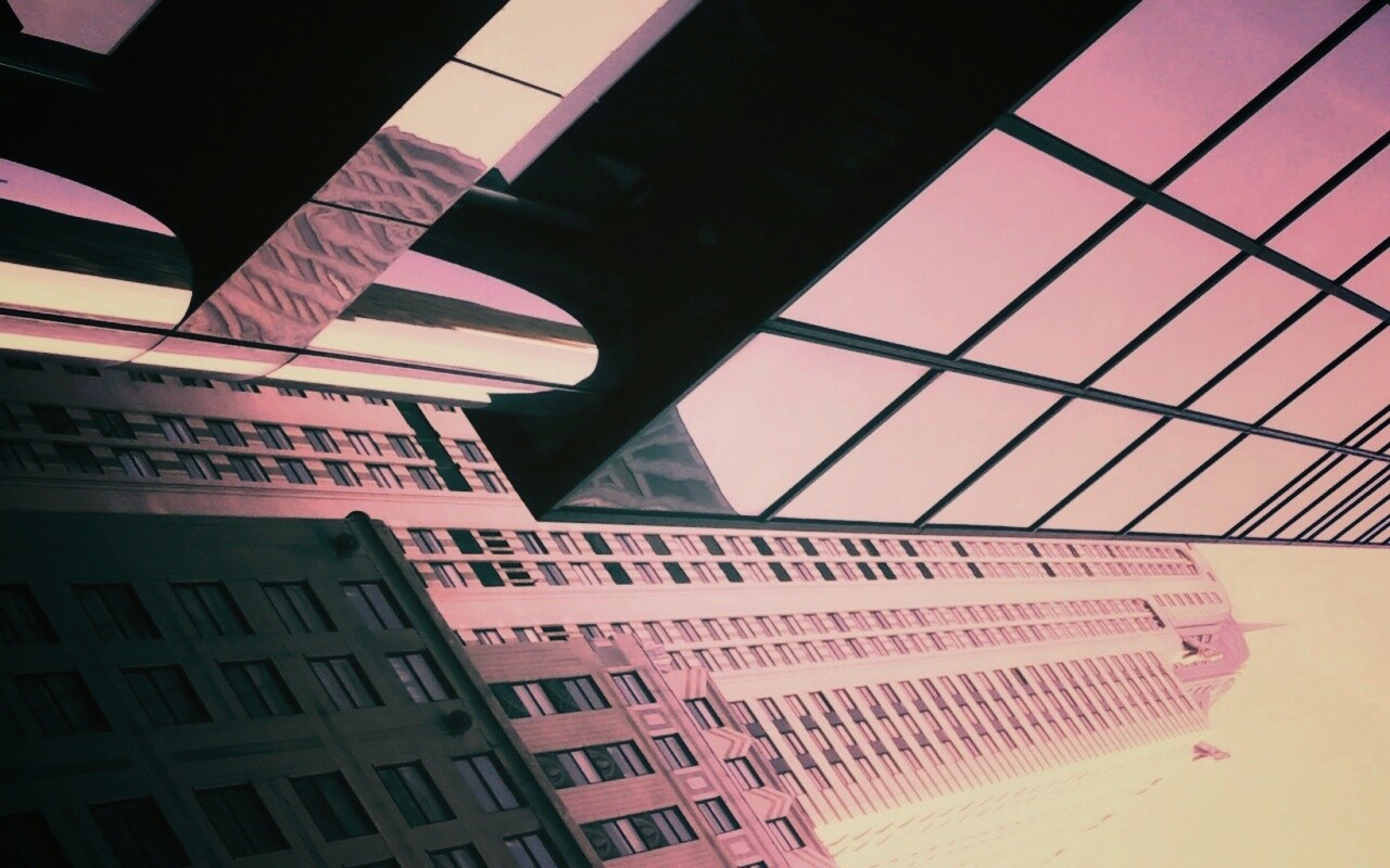 Взгляд вверх обои