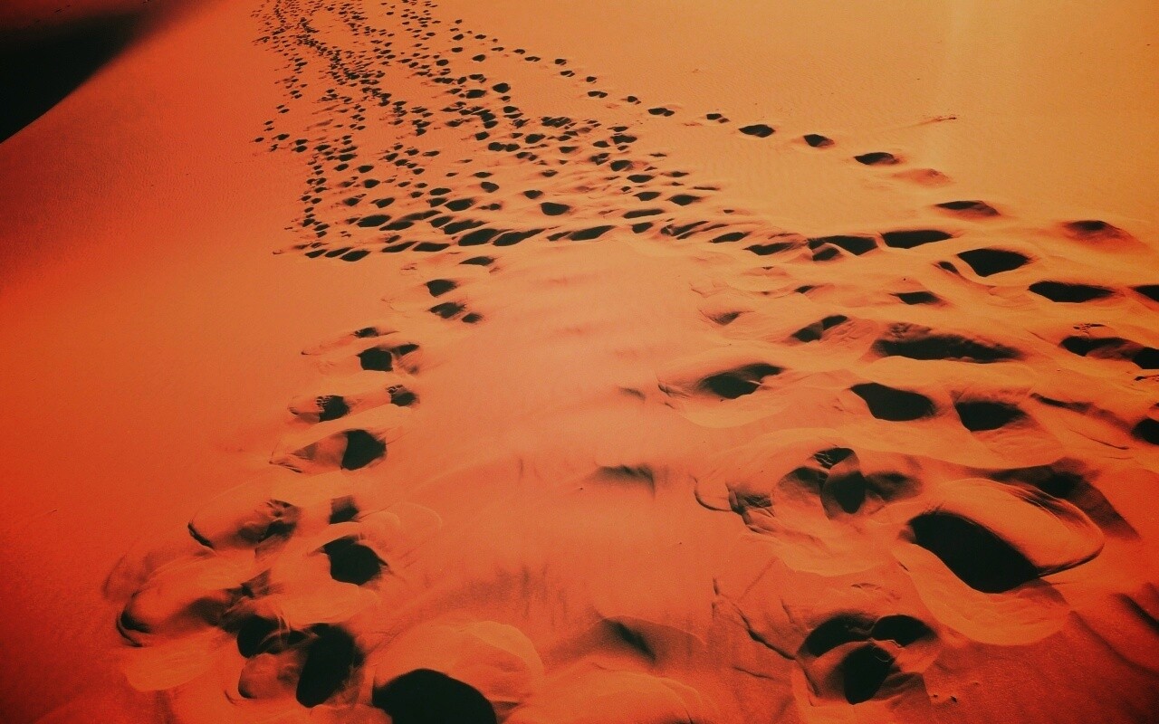 Следы в пустыне обои