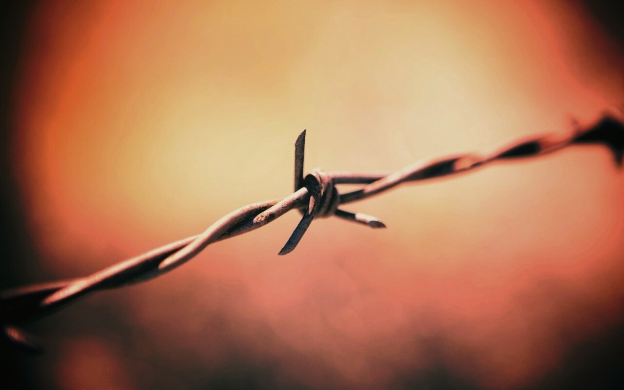 Фото колючей проволоки обои