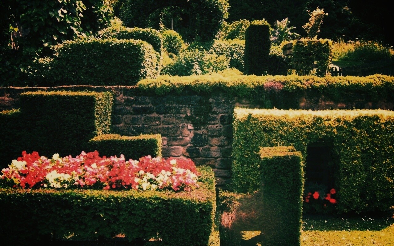 Декоративный сад обои