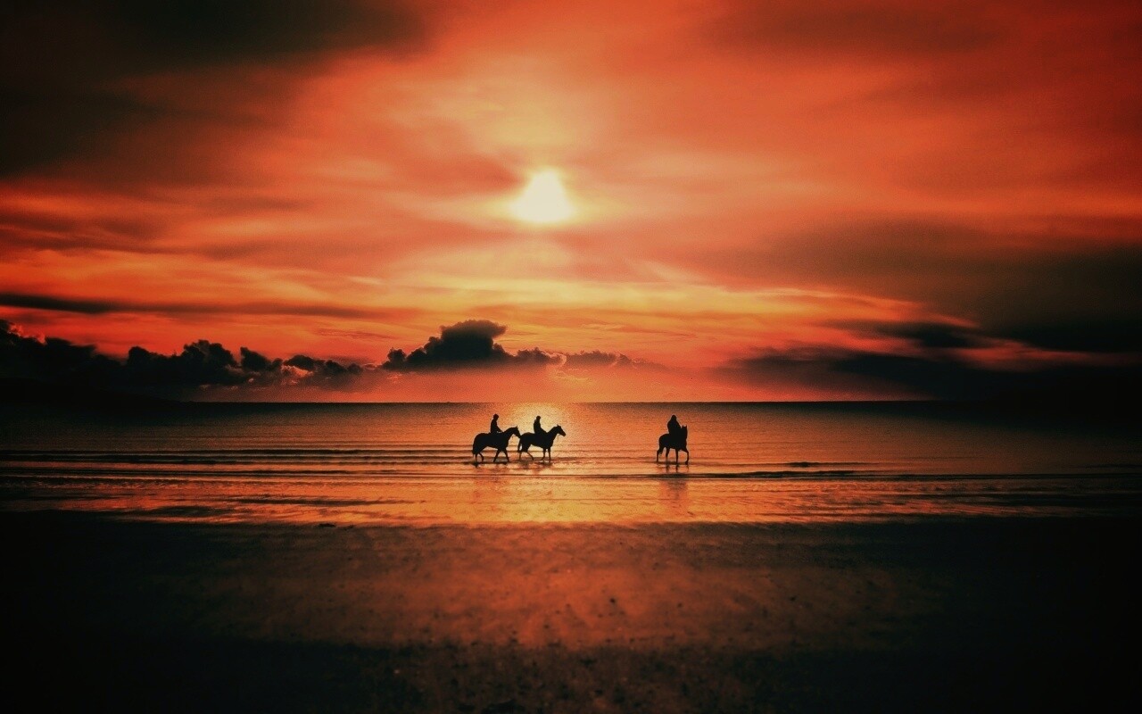 Наездники на закате обои