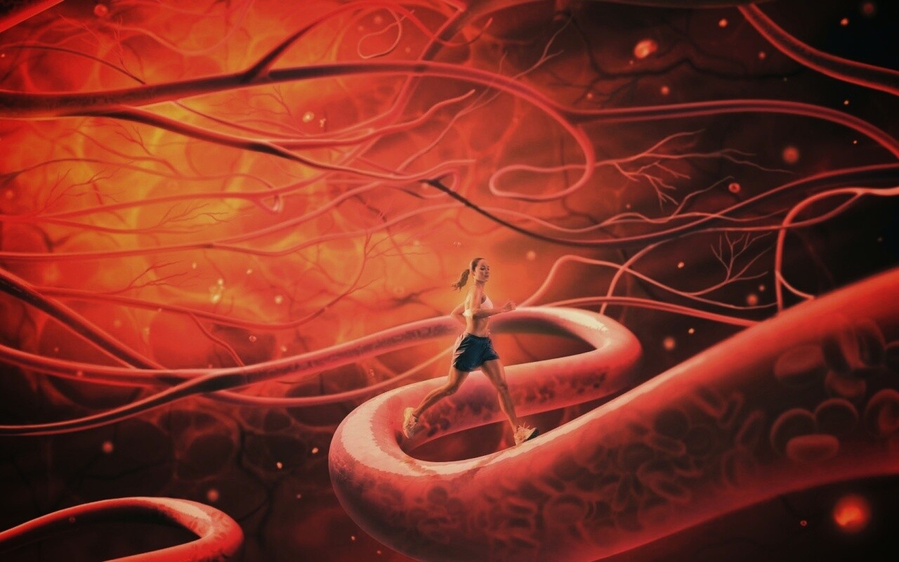 Бег крови обои