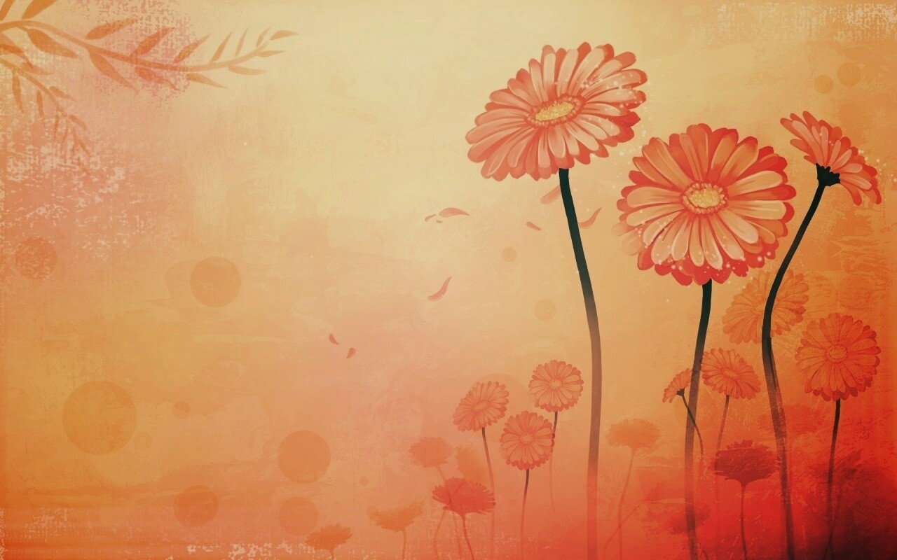 Векторные ромашки обои