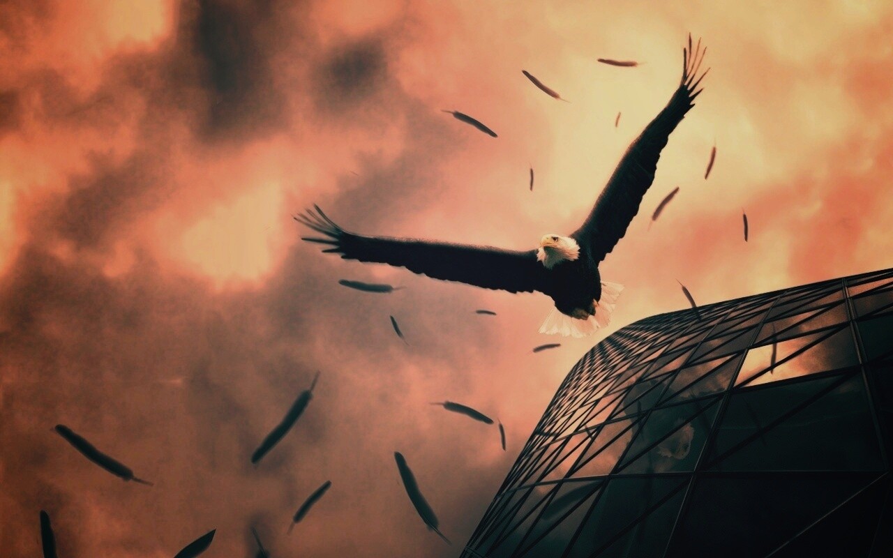 Орлиный полет обои