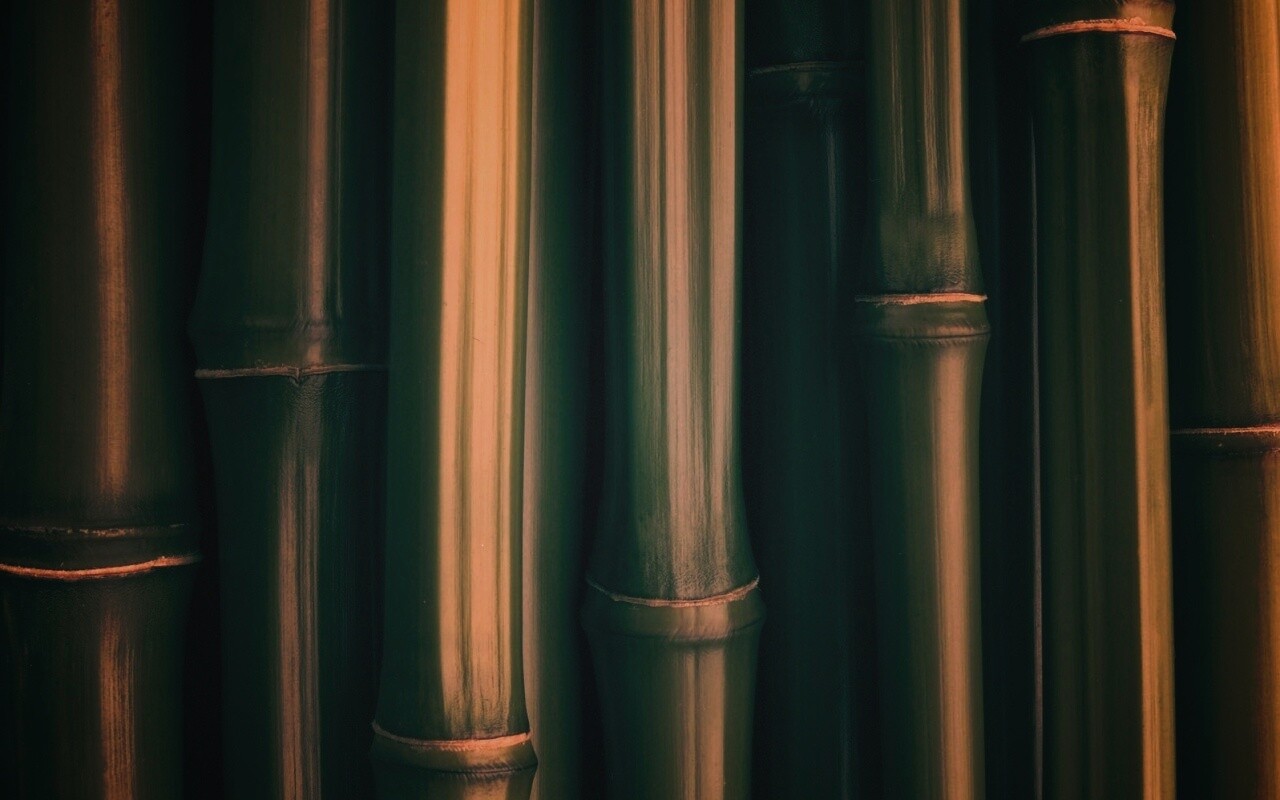 Бамбуковая роща обои