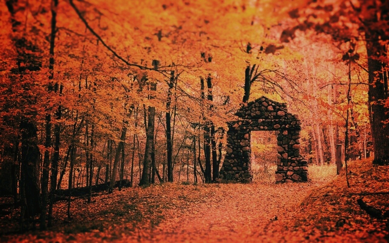 Каменная арка в осеннем лесу обои