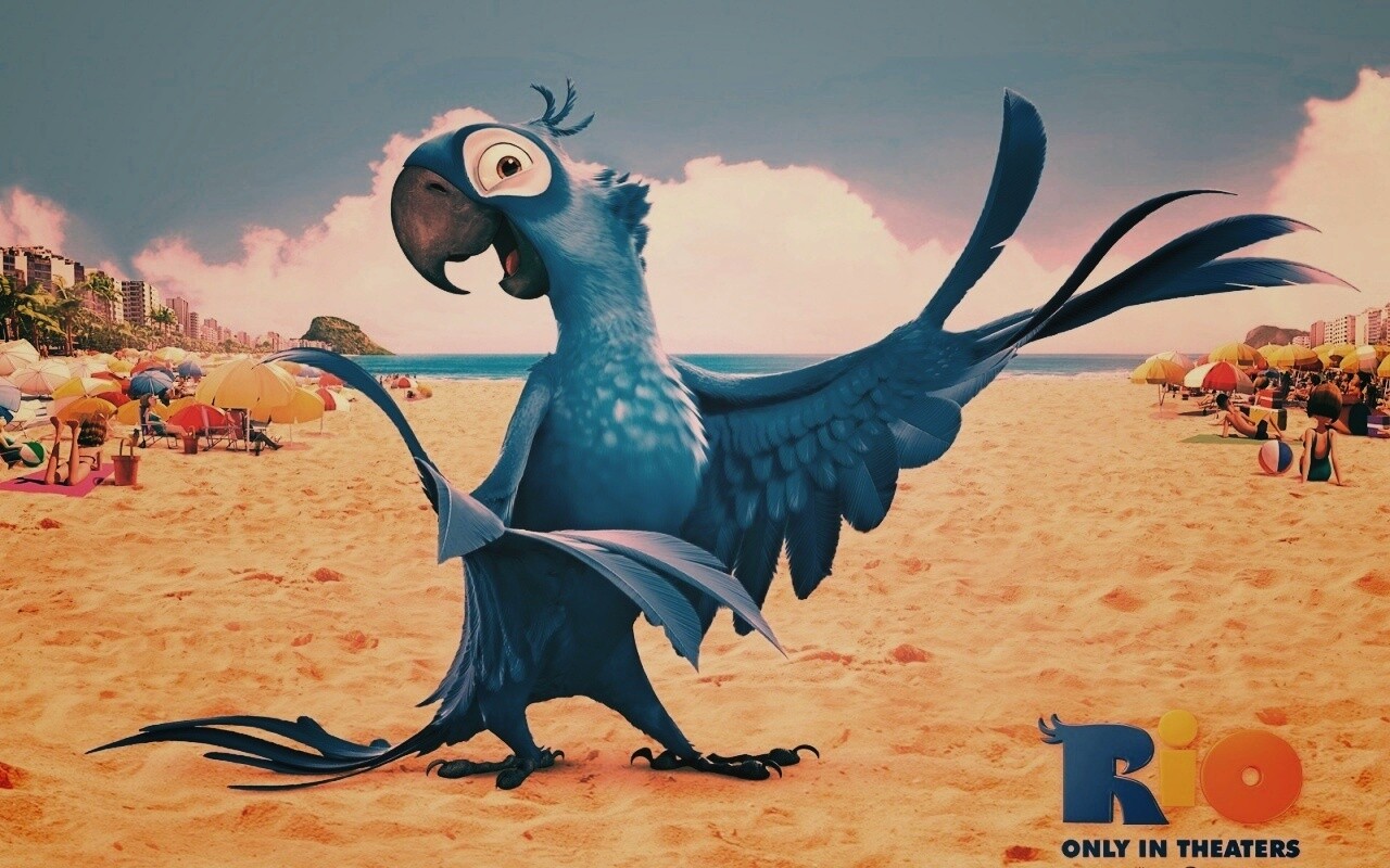 Blu из Rio обои