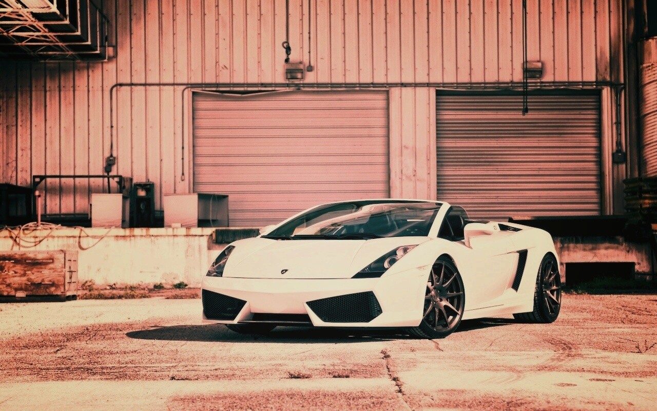 Белый спорткар Ламборгини Галлардо обои