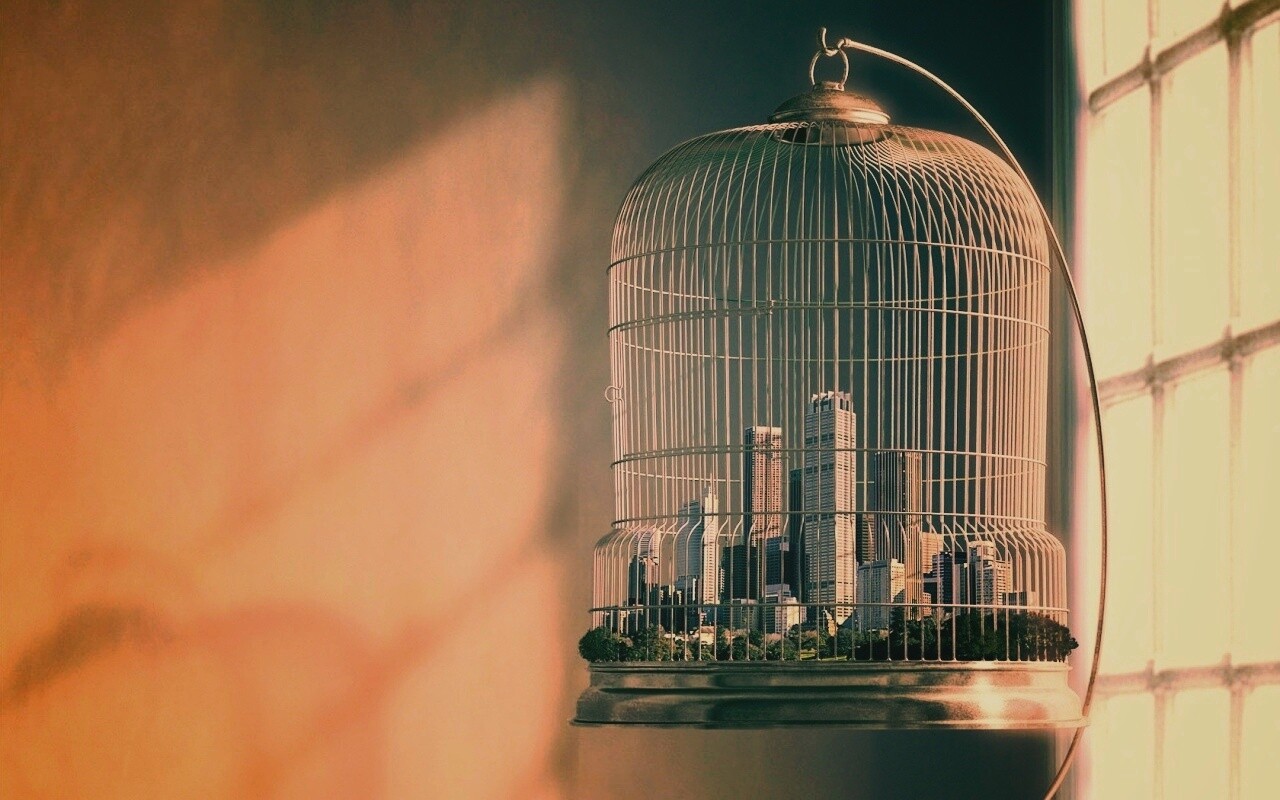 Город в клетке обои