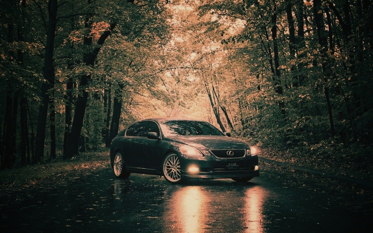 Лексус на лесной дороге обои