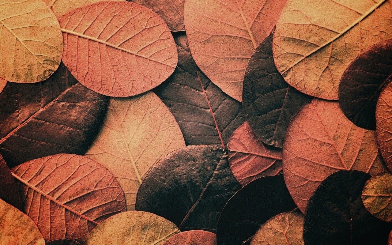 Лиственный узор обои