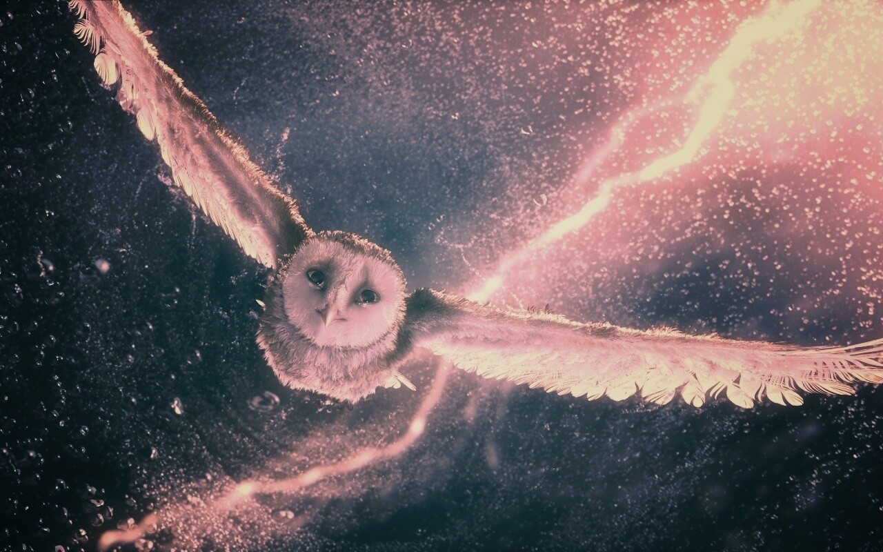 Ночные стражи обои