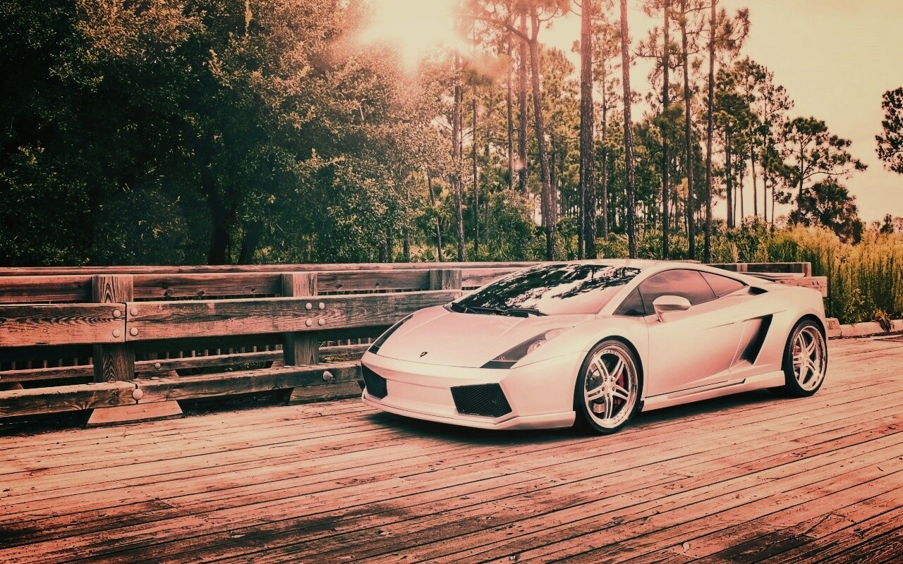 Ламбоджини на мосту в лесу обои