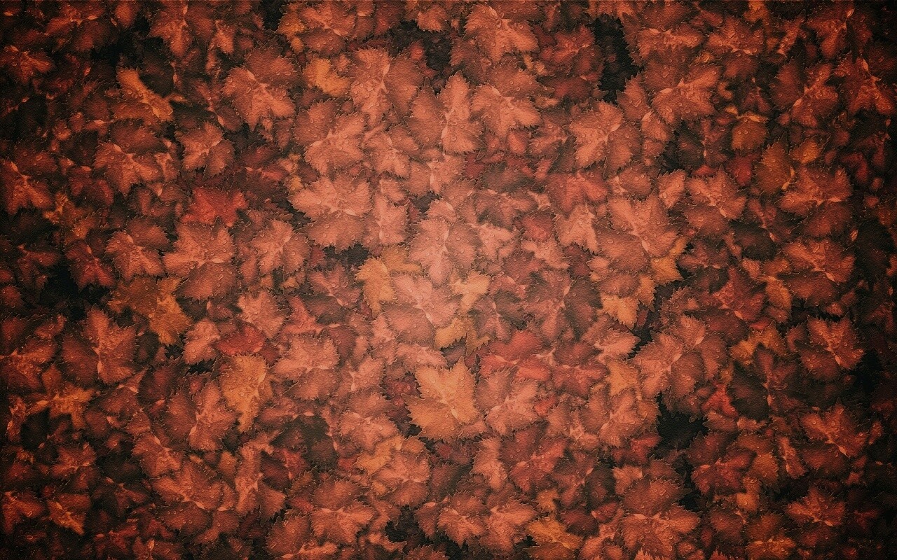 Осенние листья обои