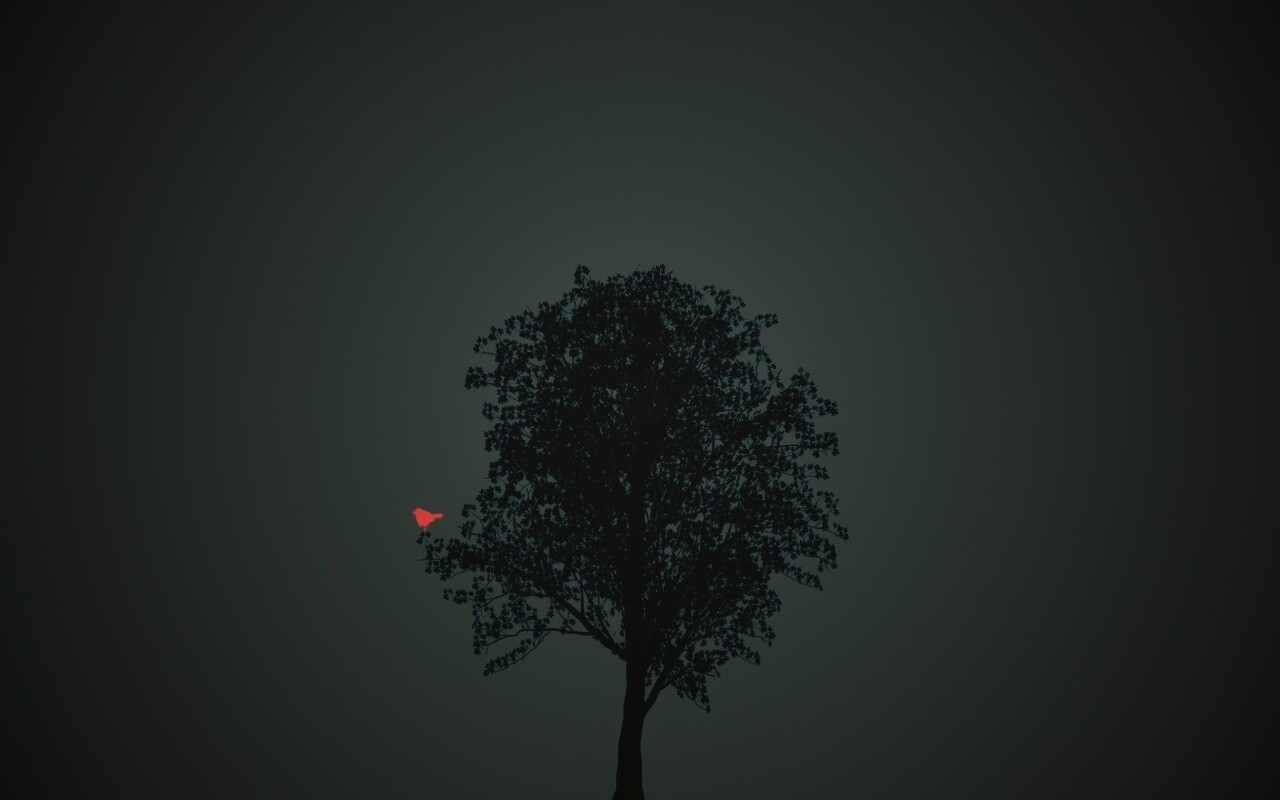 Дерево и птица обои