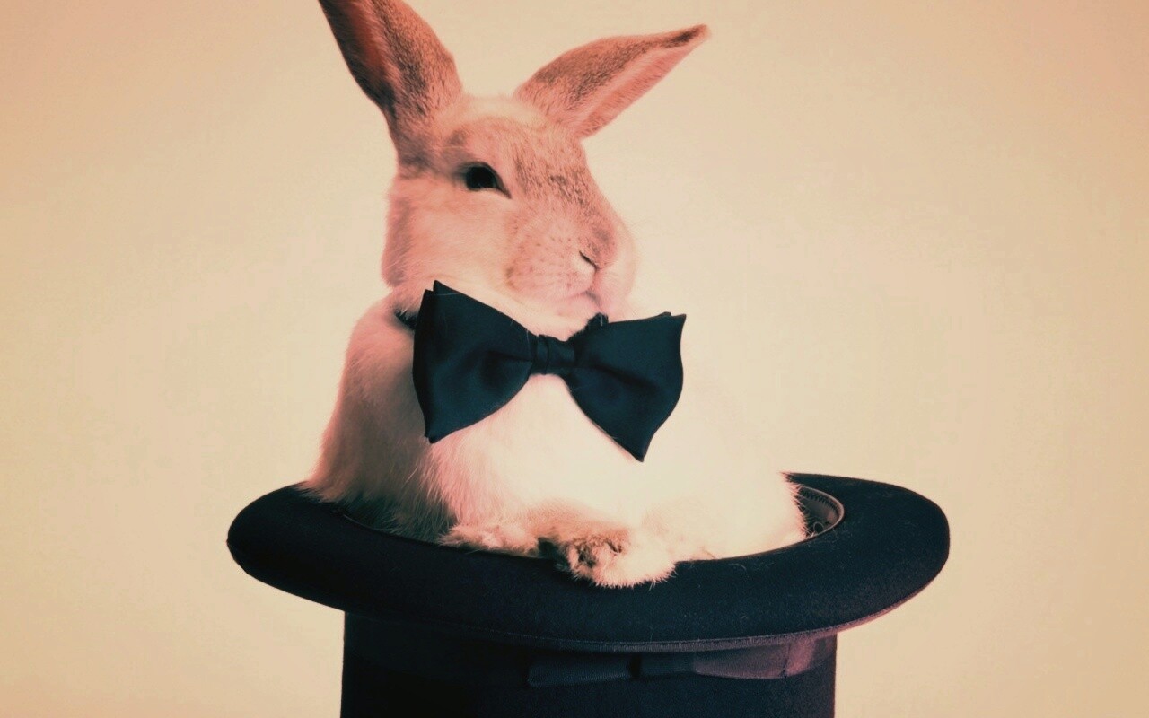 Кролик в цилиндре фокусника обои