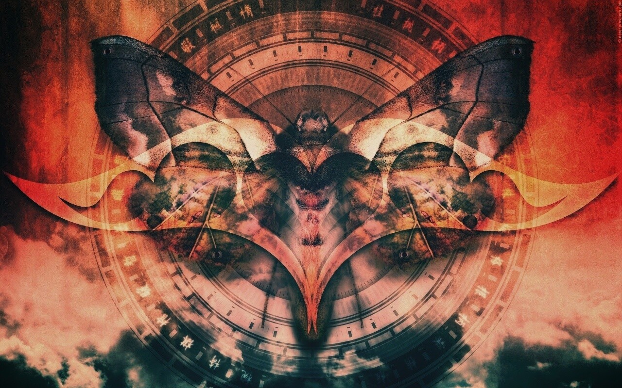 Красивая фэнтезийная бабочка обои