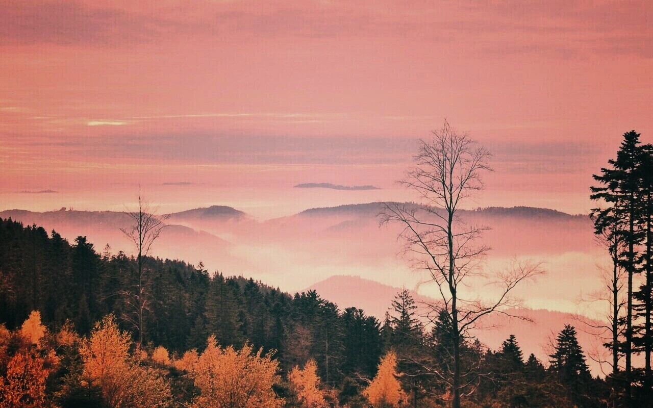 Холмы в тумане обои