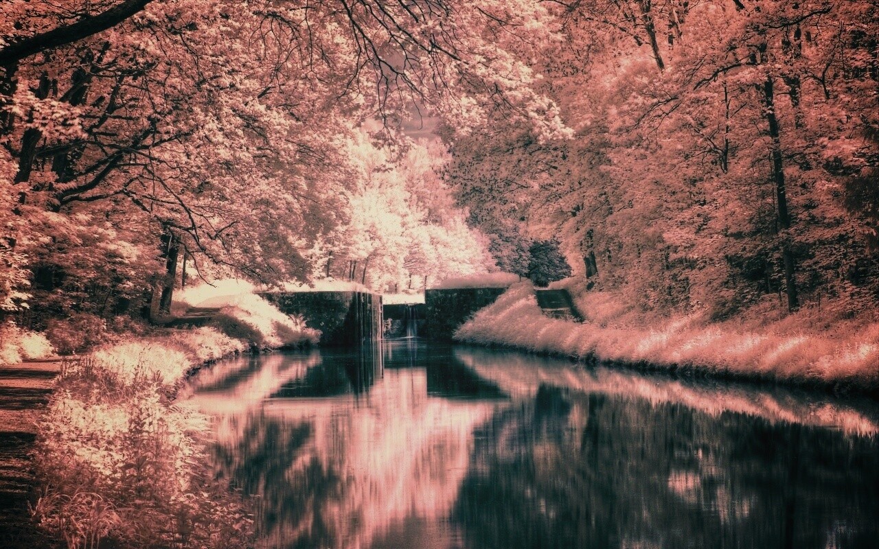 Замёрзжий канал обои