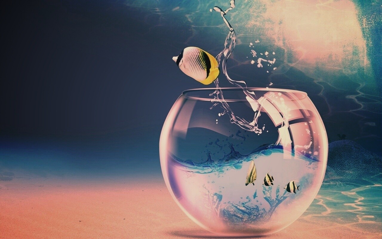 Аквариум с рыбками обои