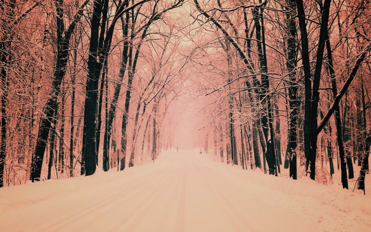Дорога зимой в парке обои