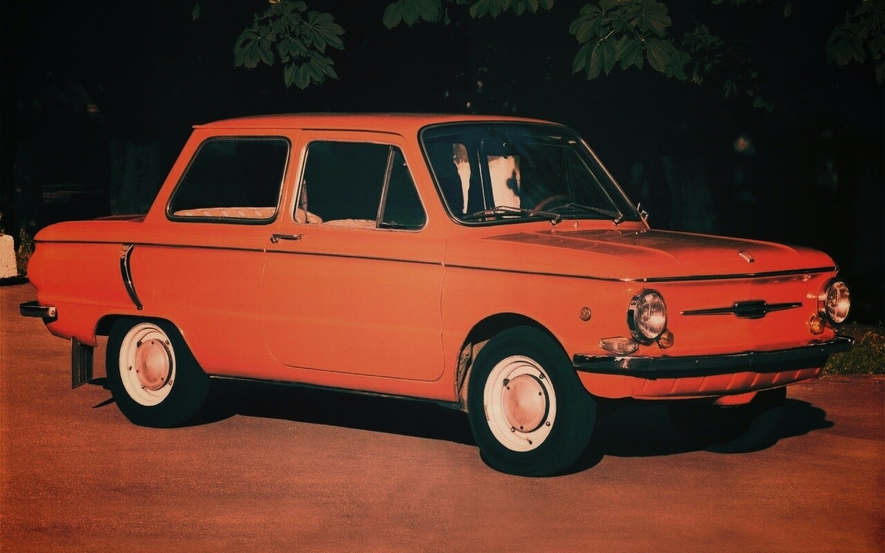 Оранжевый ушастый запорожец обои