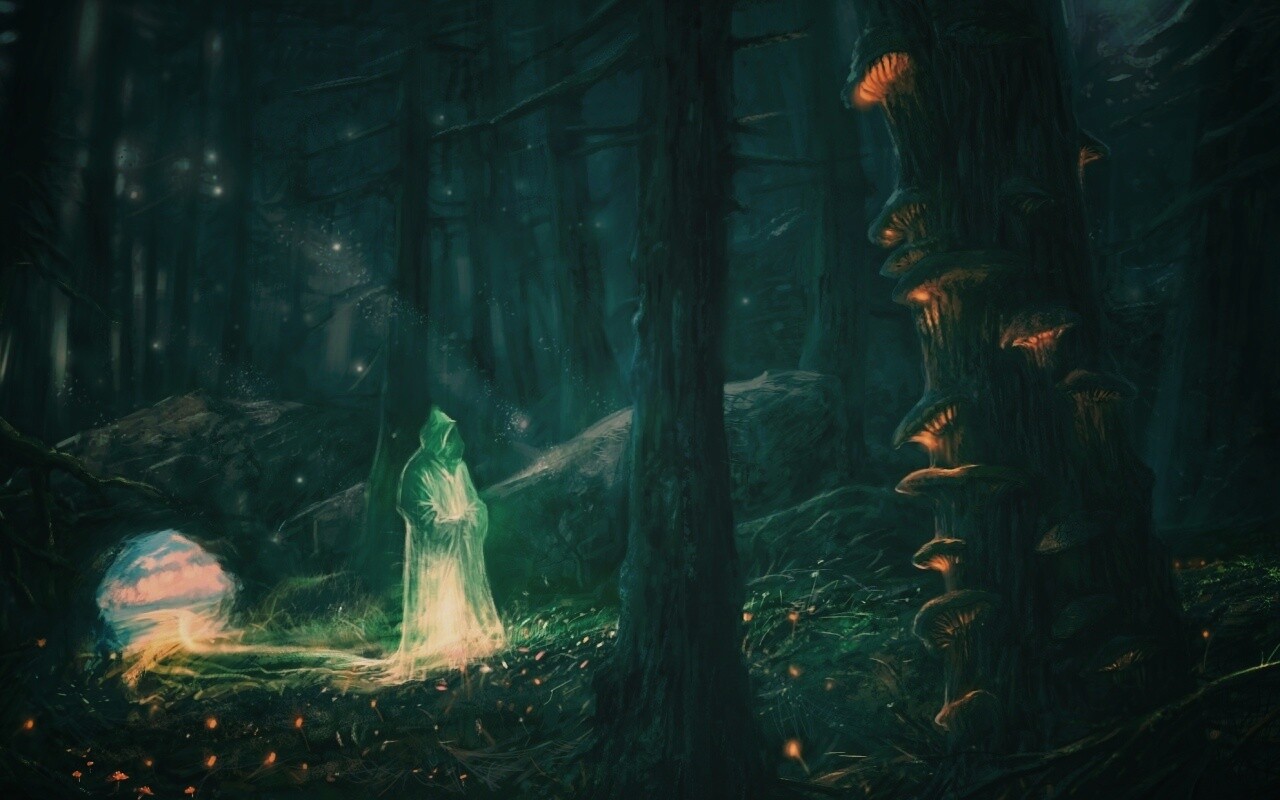 Маг света в лесу обои