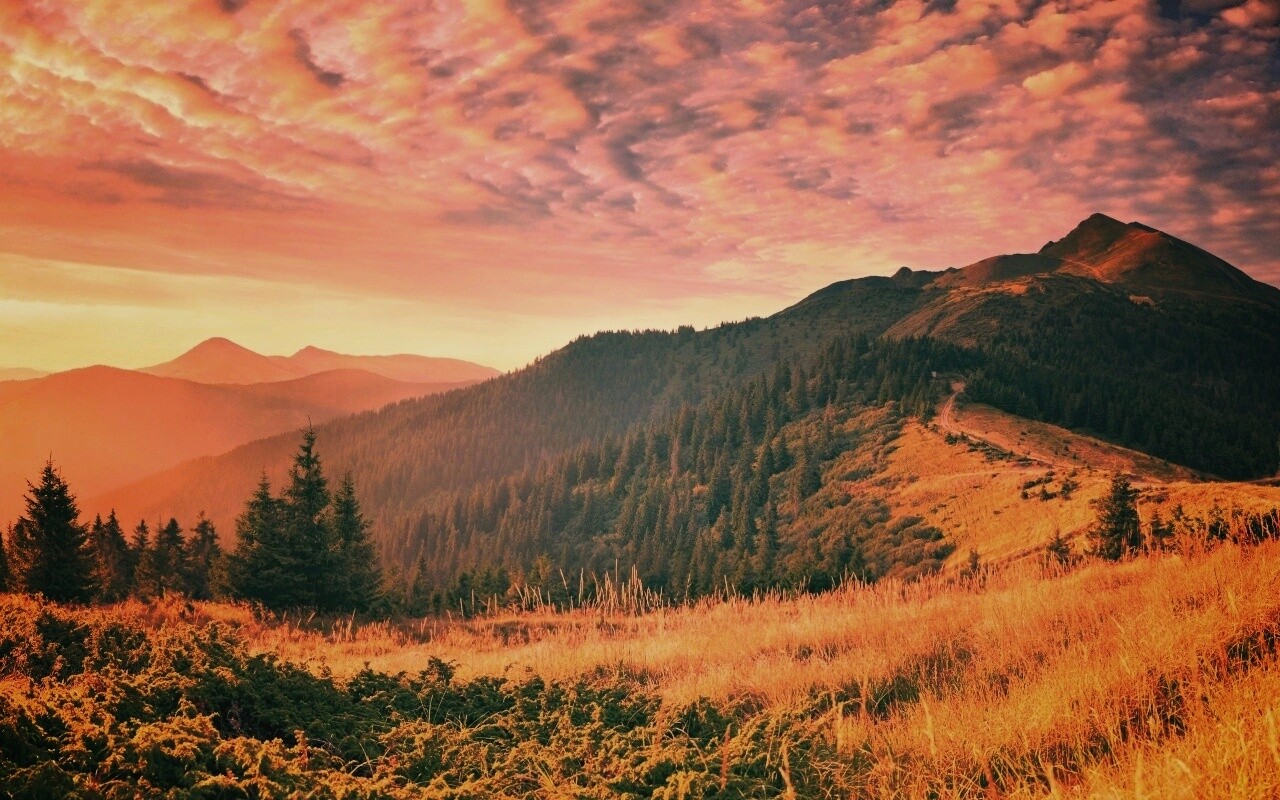 Предгорье обои