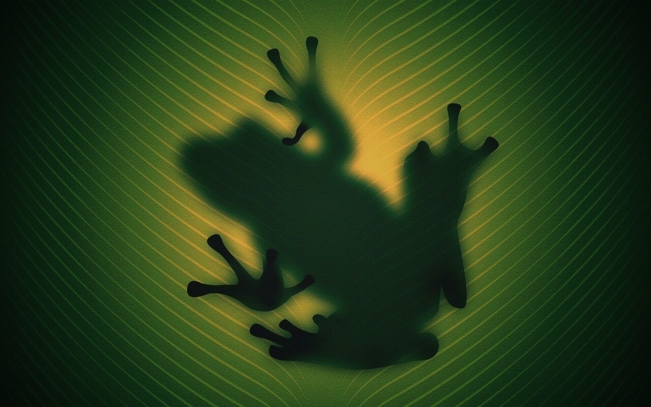 Силуэт лягушки просвечивает сквозь зеленый лист обои