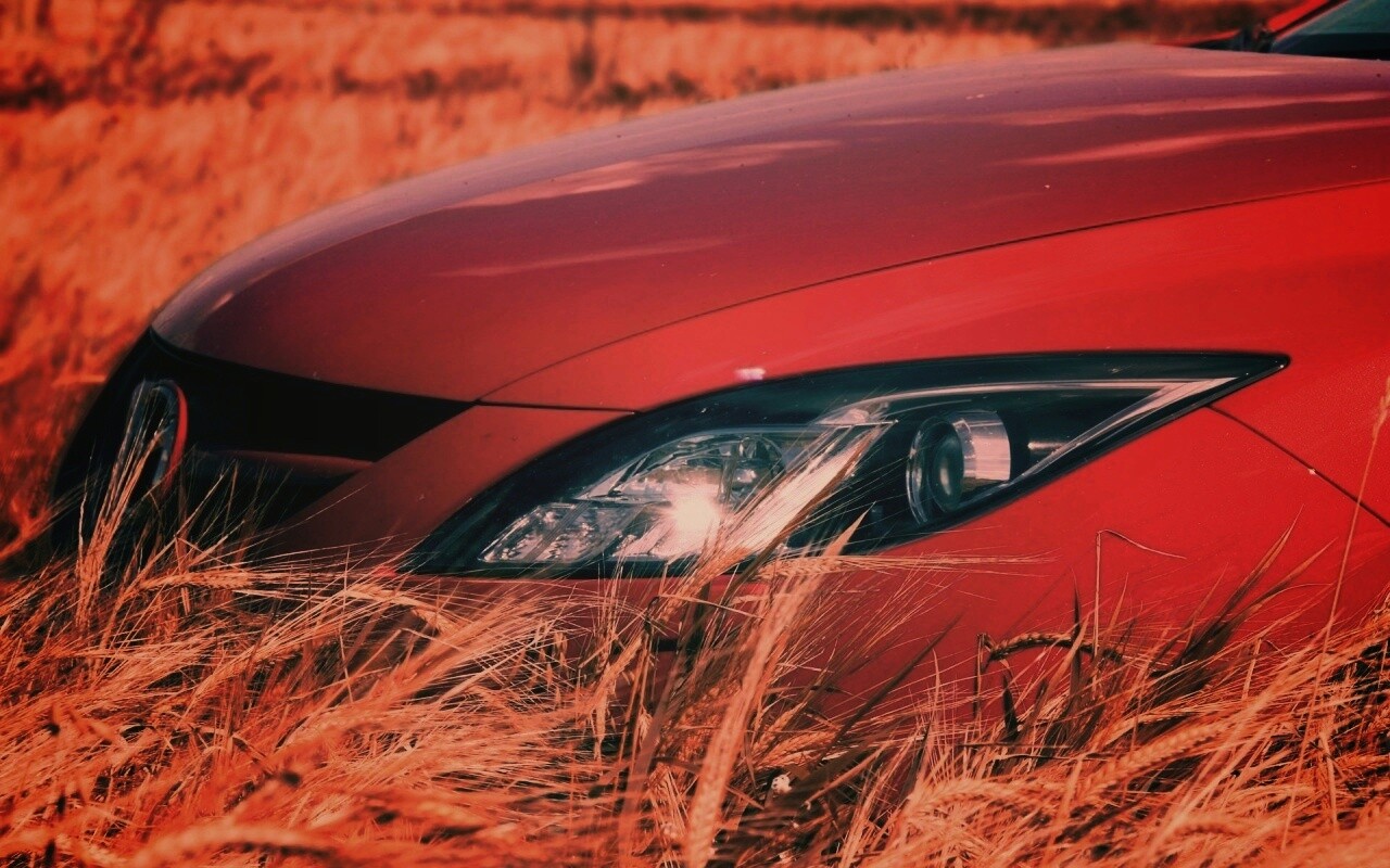 Мазда в пшенице обои