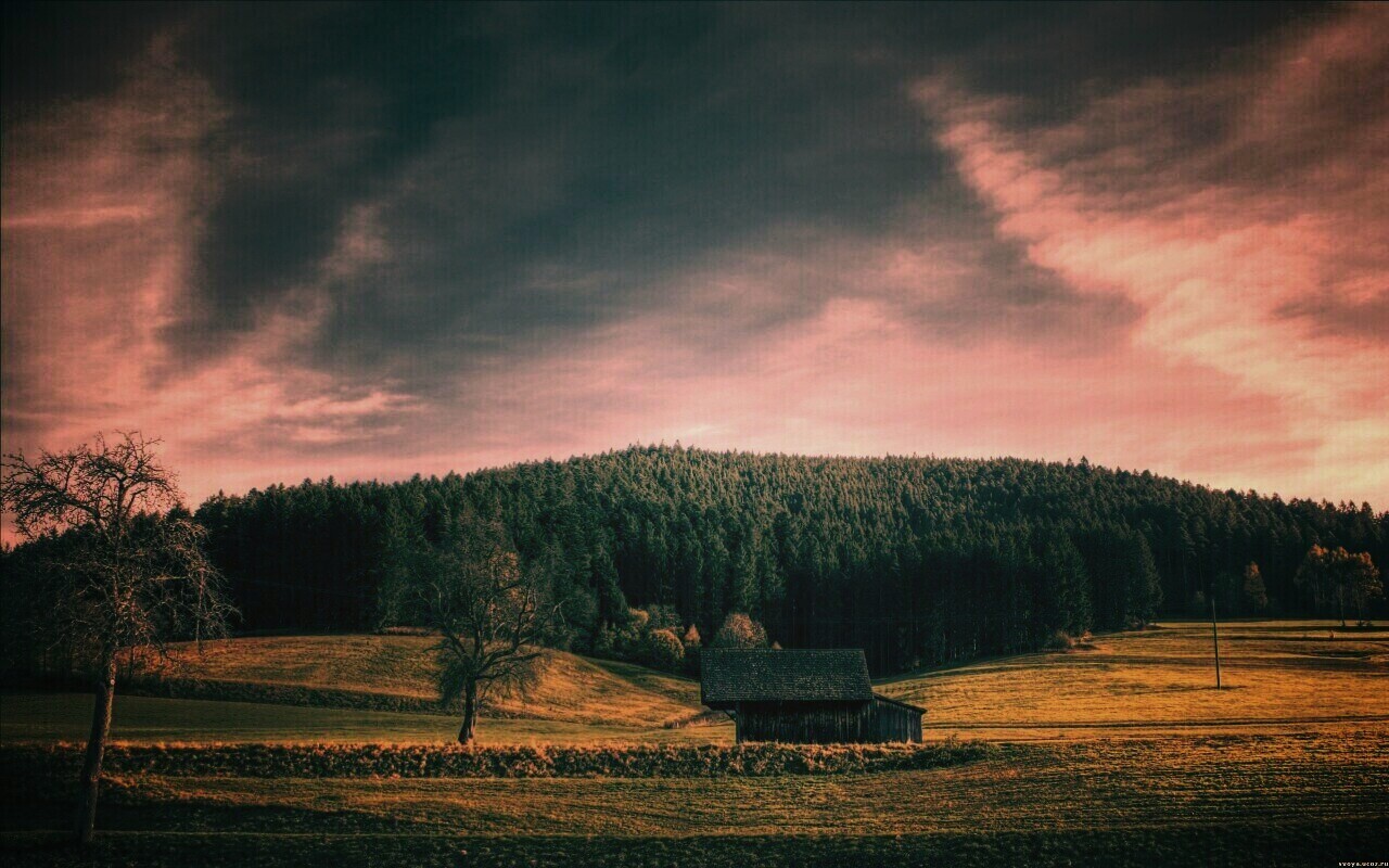 Домик в поле обои