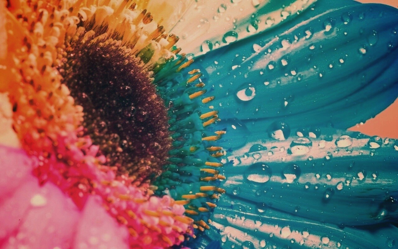 Цветик семицветик обои