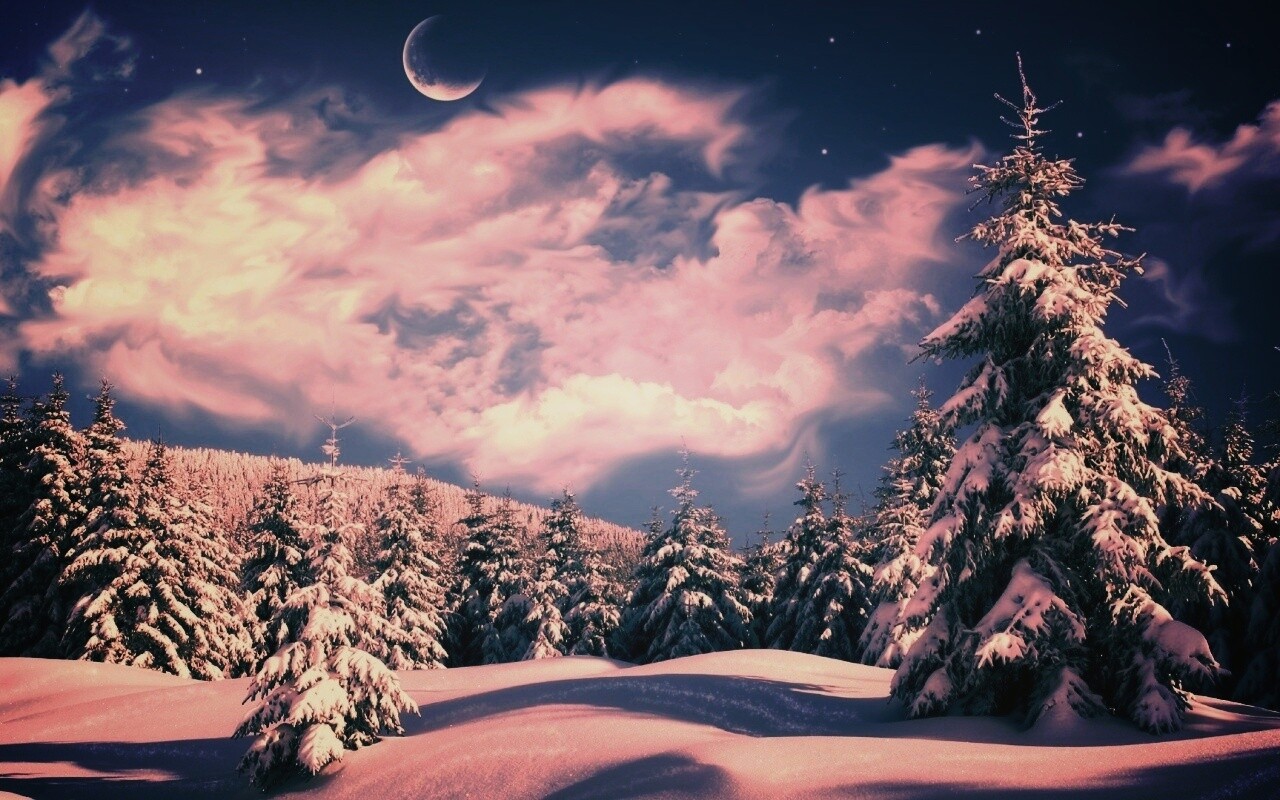 Зимний еловый лес обои