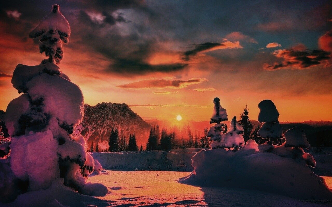 Зимнее солнце обои