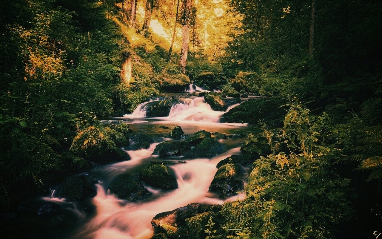 Живописный лесной водопад обои