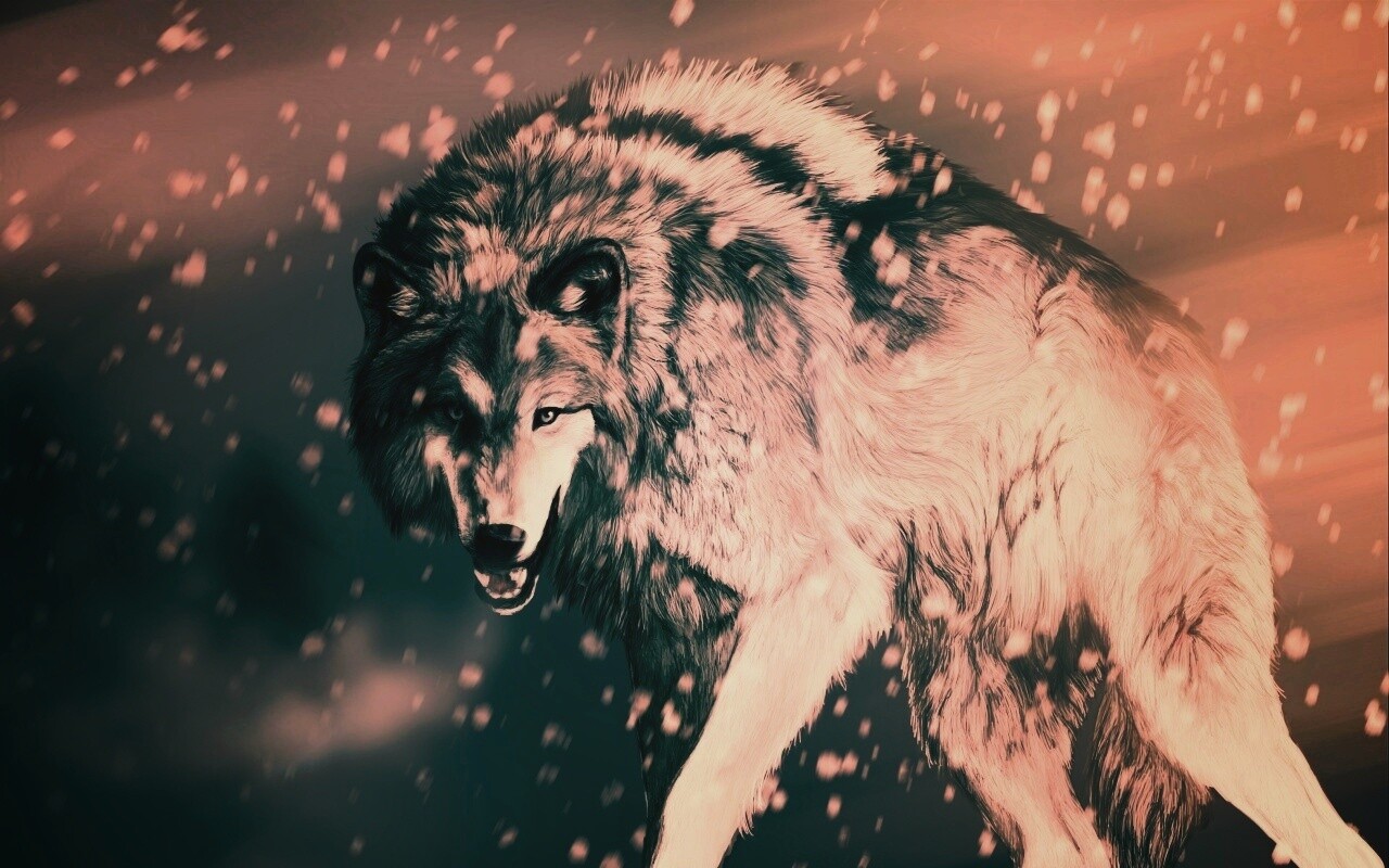 Охота на волка обои